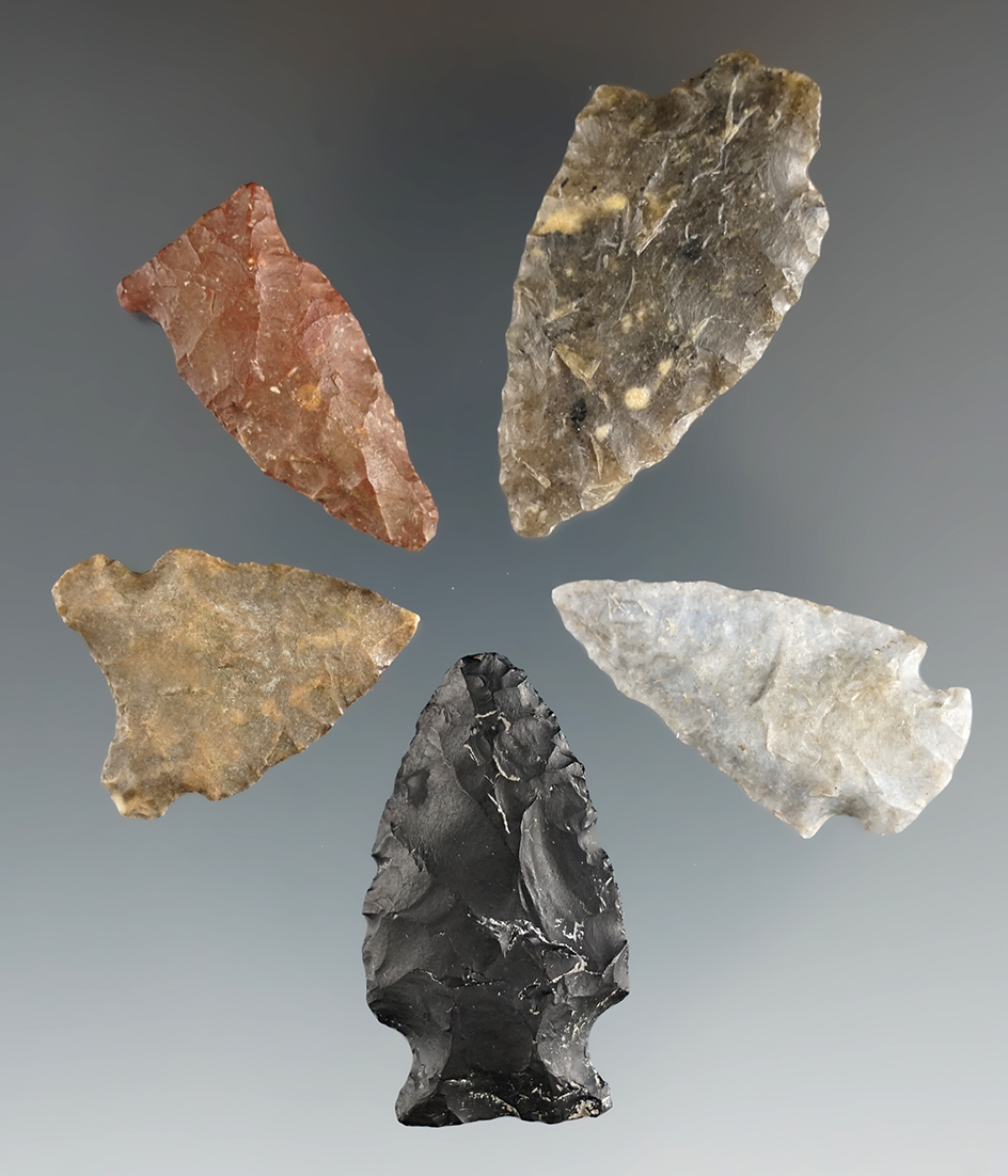 Set of five assorted arrowheads found in Eastern South Dakota by Harlan Olson. Largest is 1 5/8".