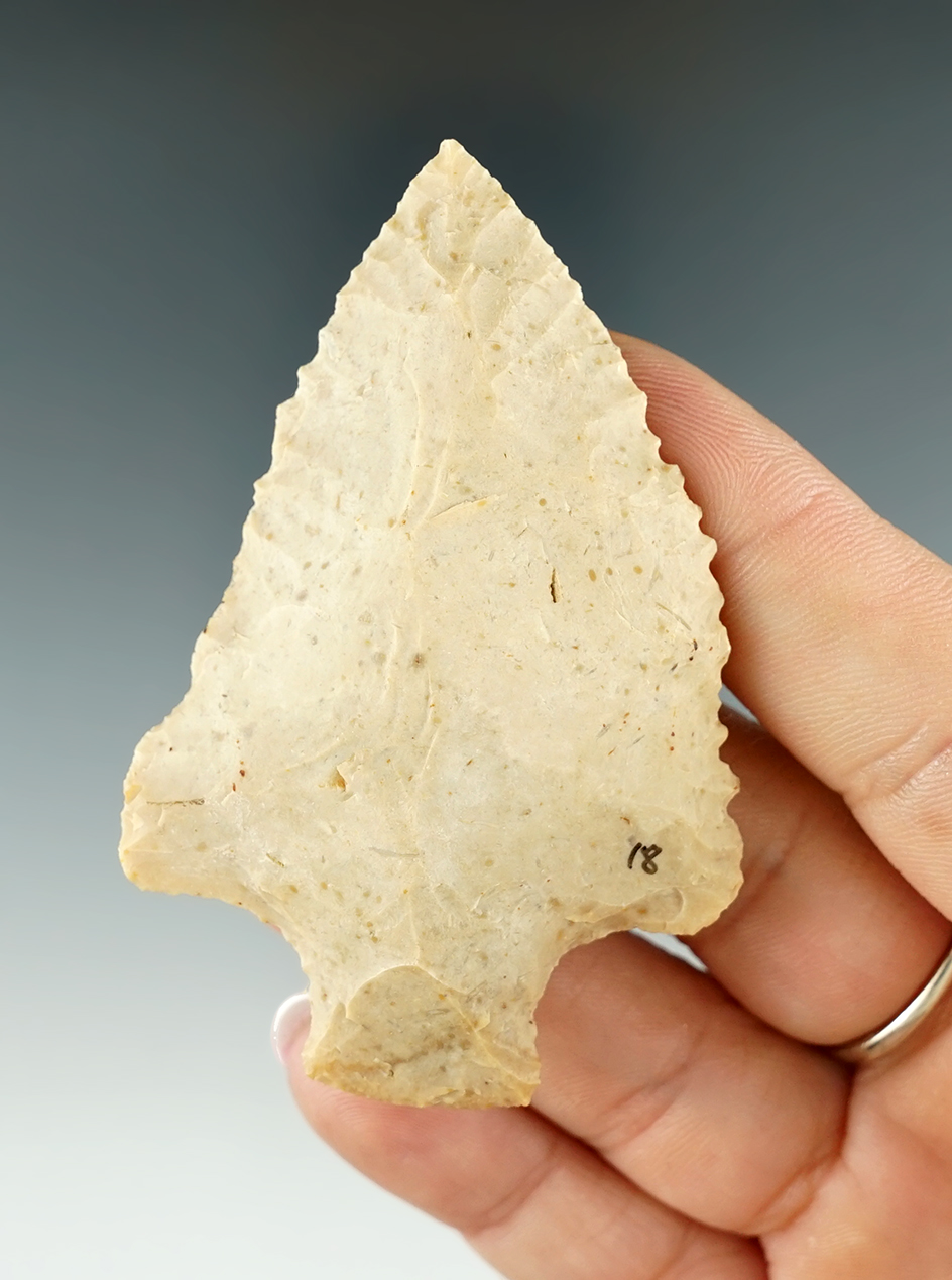 2 13/16" nicely serrated Elora Knife found in Georgia.