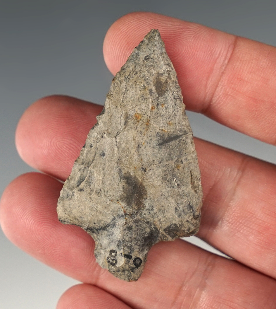 2 3/16" Stemmed Point found in Florida.