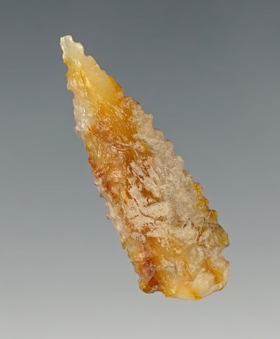 1 7/16" Rabbit Island made from Petrified Wood. Found in Washington State. Jackson COA.