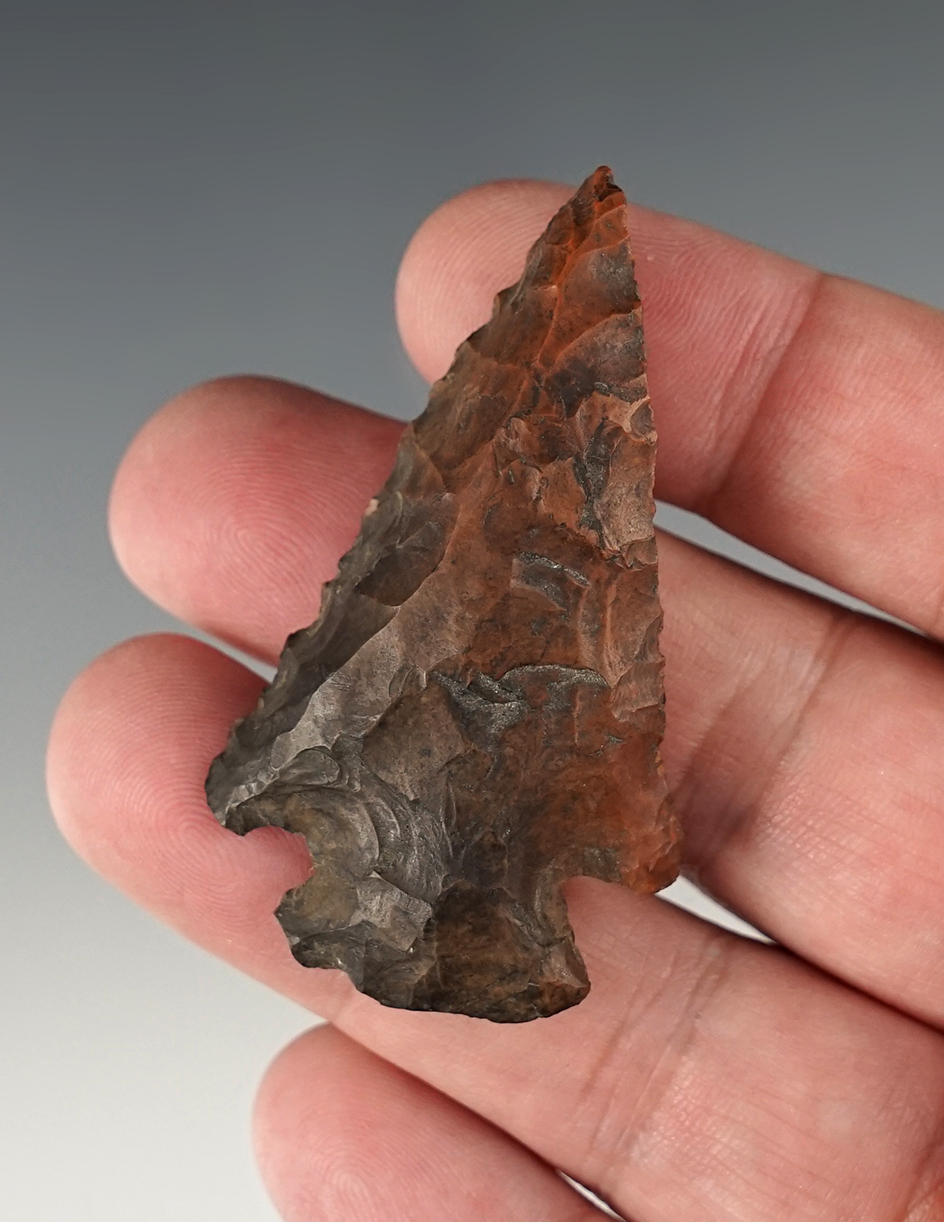 2 3/8" Well patinated steeply beveled Dovetail found in Pennsylvania.