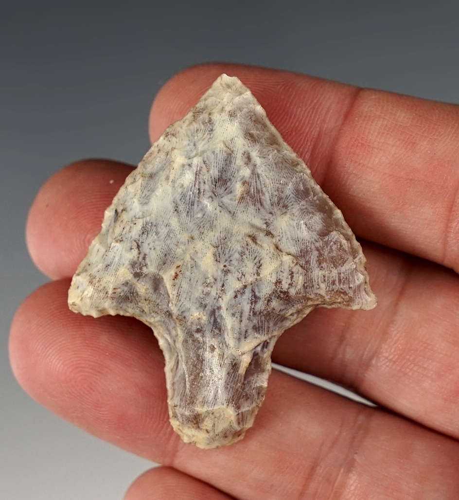 Heavily patinated 1 15/16" Stemmed Point found in Suwannee Co., Florida.