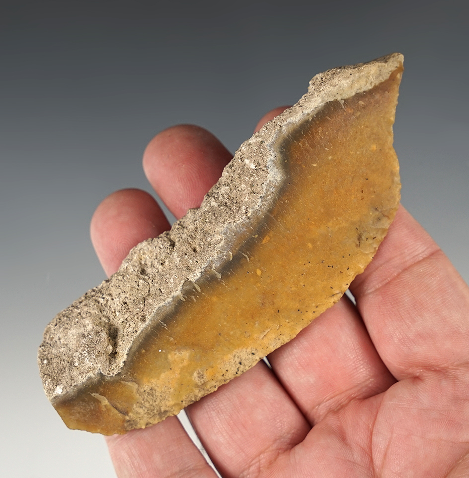 Nice! 4 5/16" Paleo Knife with very fine edge flaking. Found in Alachua Co., Florida.