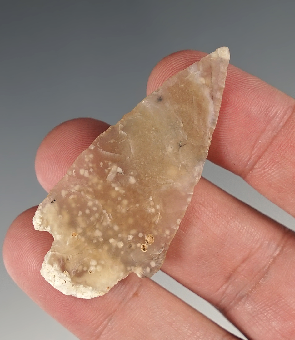 2 1/4" Stemmed Knife - exceptionally thin made from highly translucent agate - New Mexico.