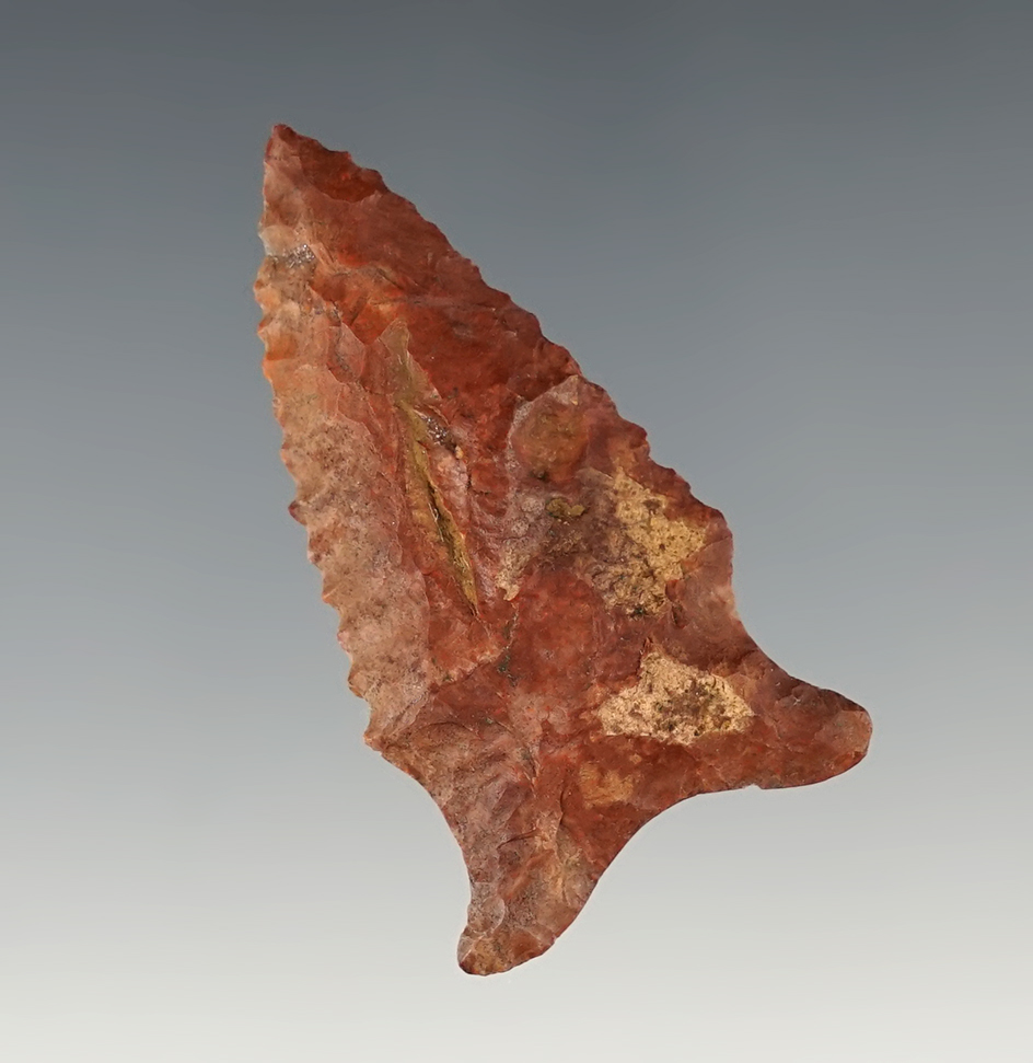 Nicely serrated 2 1/8" Dalton found in Mississippi.