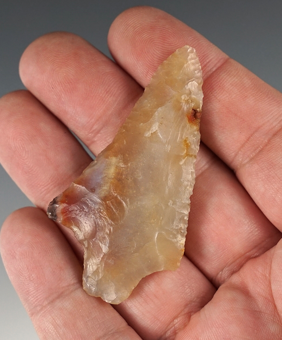 2 1/2" Knife made from beautiful material found in Dixie Co., Florida.