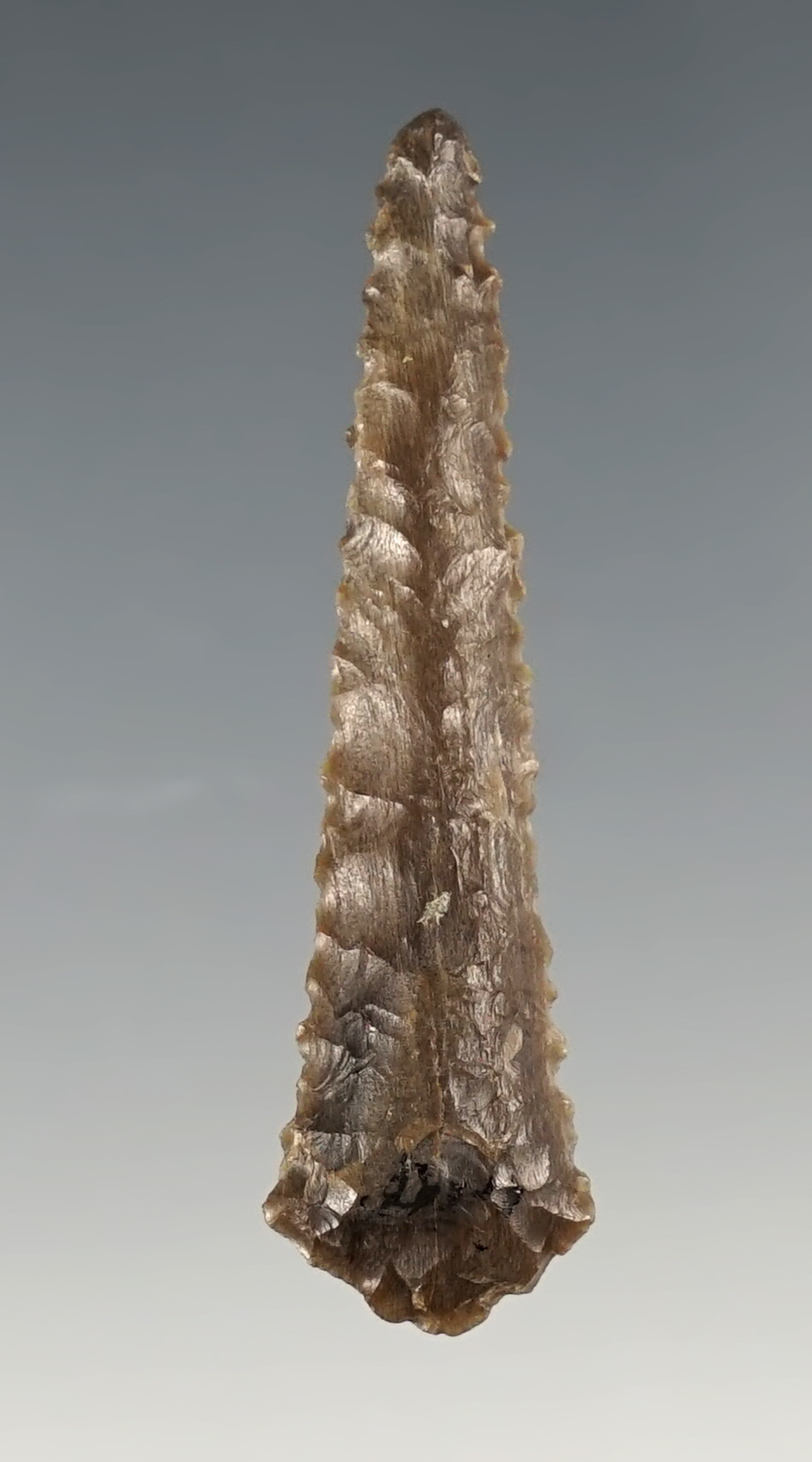 2" Drill that is beautifully made from Agatized wood found in Washington.