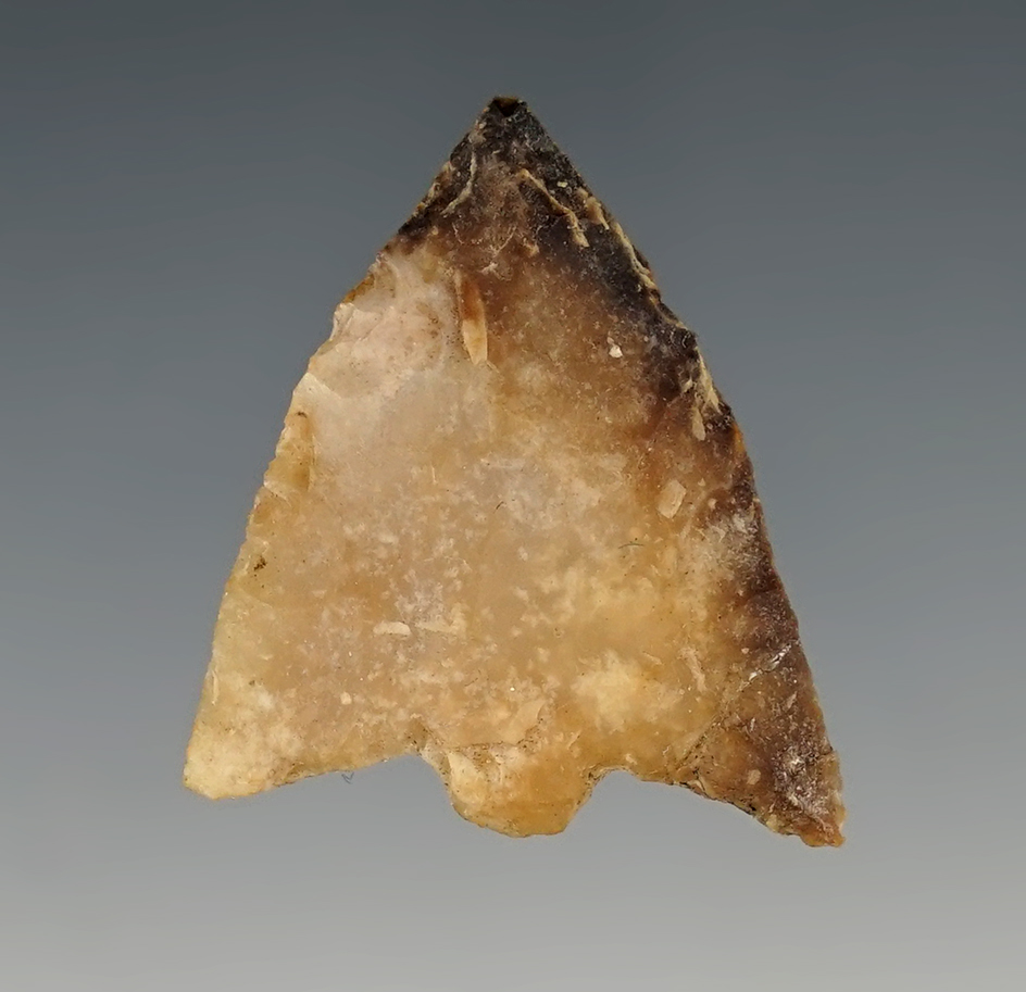 1 3/8" well styled Hillsborough Point found in Suwannee Co., Florida.