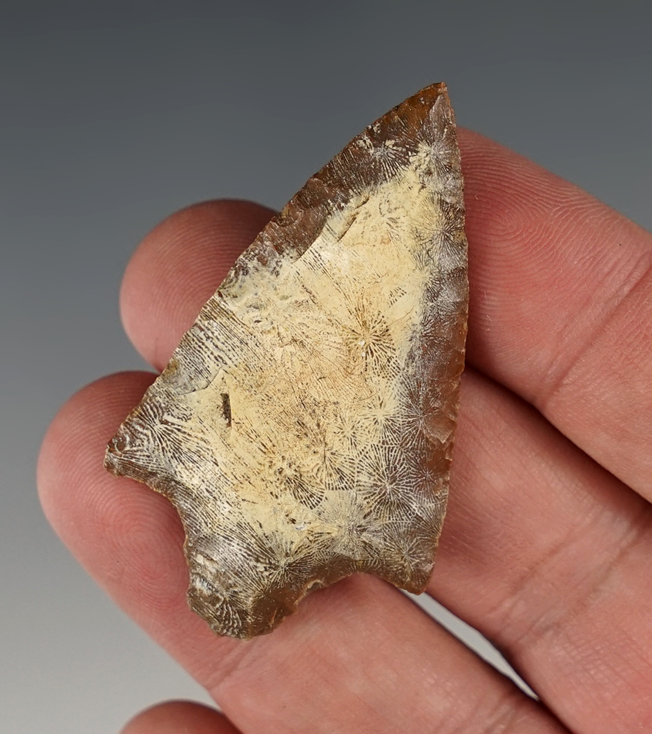 2 1/8" Marion made from fossilized coral. Found in Dixie Co., Florida.