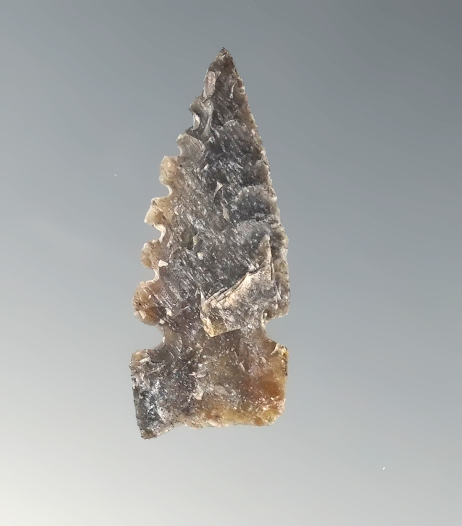 1 3/16" nicely serrated Sidenotch found in New Mexico.