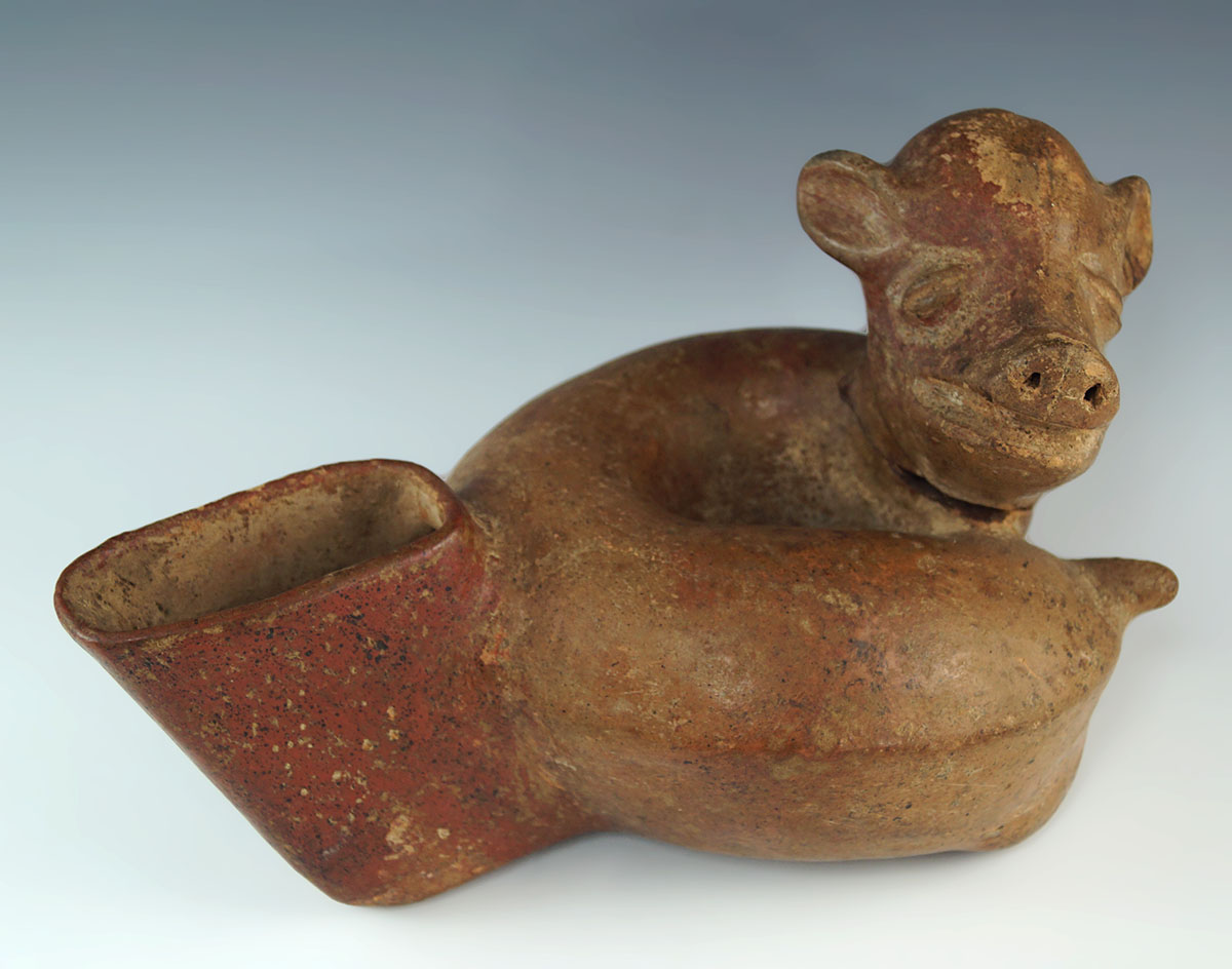 10" long Colima curled dog effigy pottery vessel. Found in western Mexico. Ex. Roy Pohler.