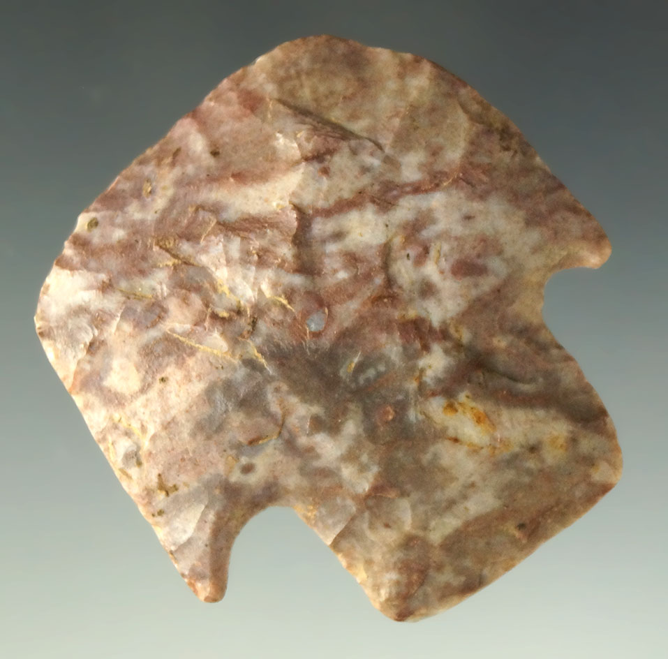 1 9/16" wide well styled Hafted Scraper found in Ohio.