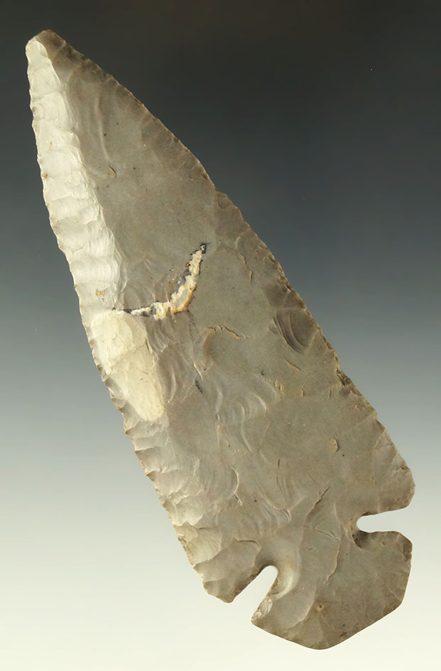 Pictured! 4 9/16" Hornstone Dovetail found in Indiana. Museum COA. Pictured in Overstreet 15