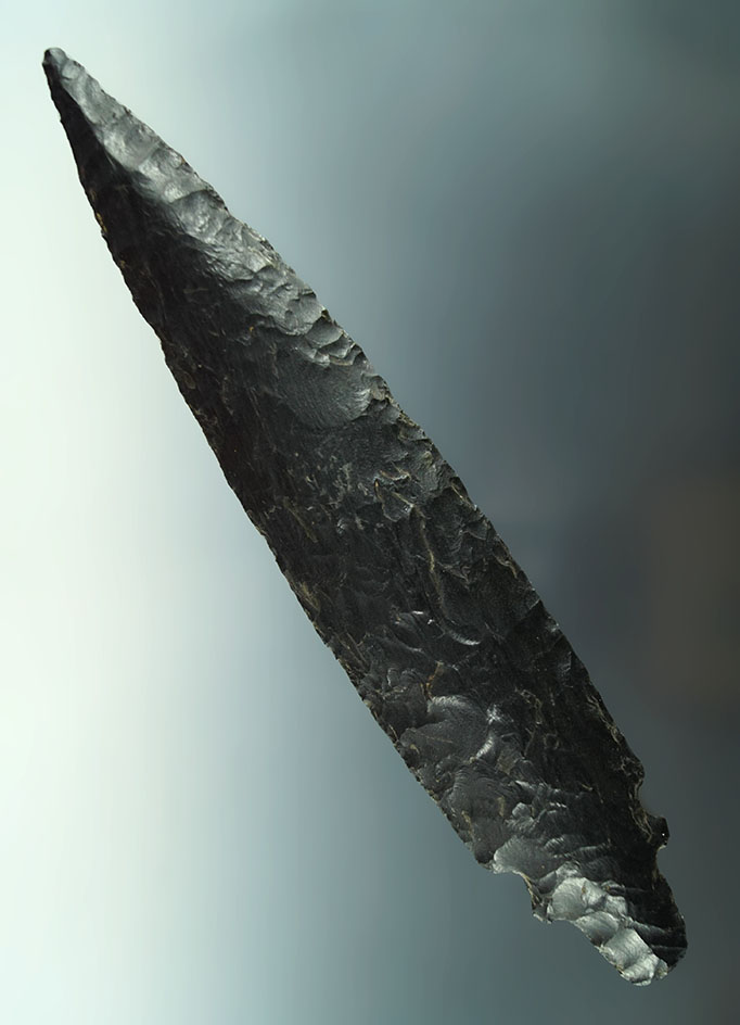 Large and impressive! 8 3/4" Pre-Columbian double notched obsidian blade. Stermer COA.