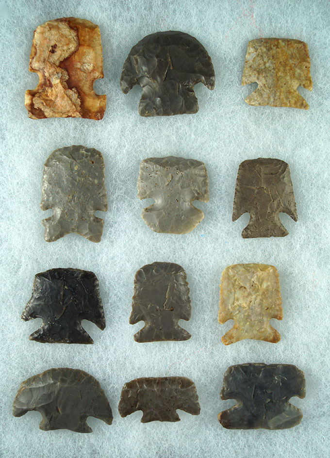 Nice set of 12 Midwestern assorted Hafted Scrapers in excellent condition, largest is 1 13/16".