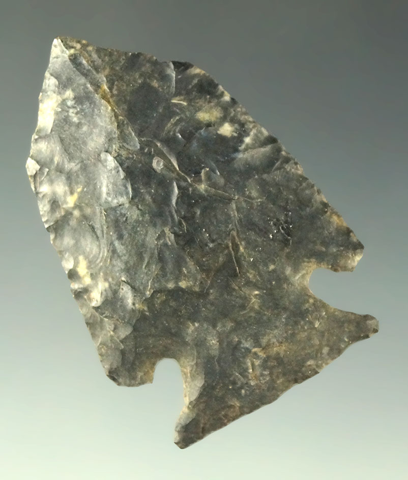 1 3/4" classic style Jacks Reef Pentagonal found in Hillsdale County Michigan. Ex. Museum!