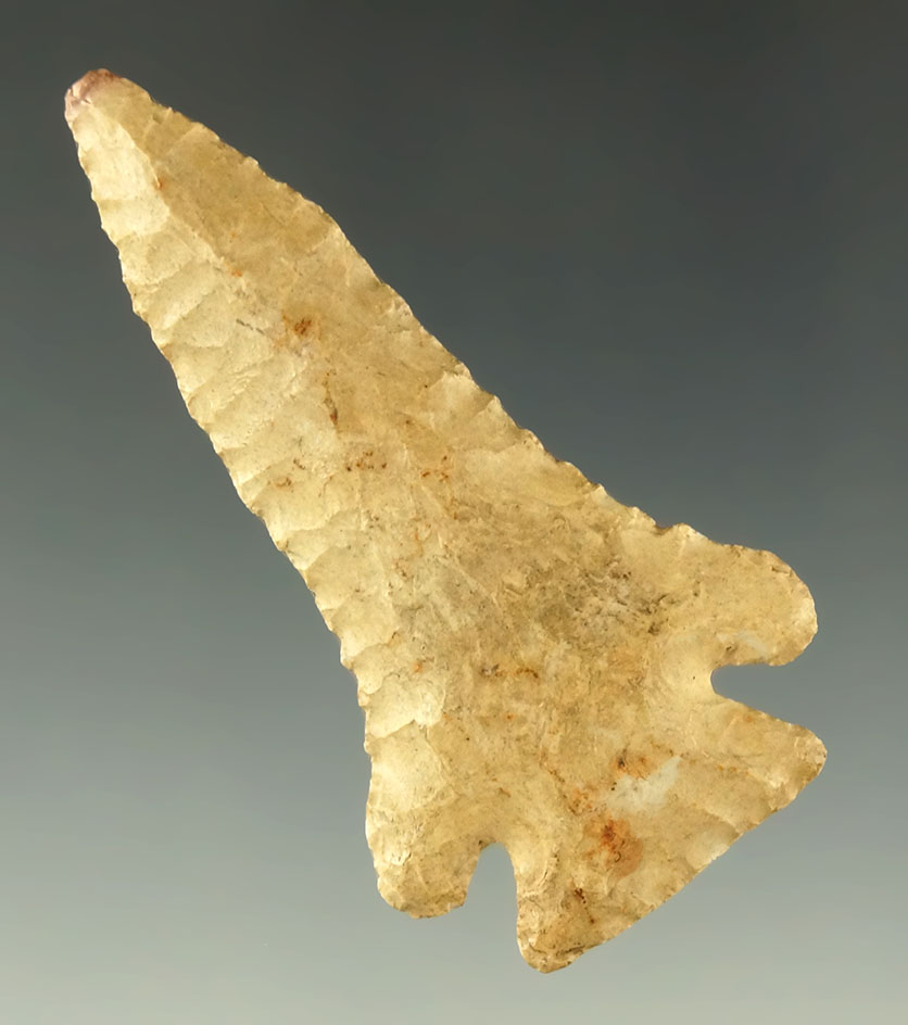 2 1/2" well styled Pinetree found in Indiana from the Guss Bubenzer collection. Museum COA.  D