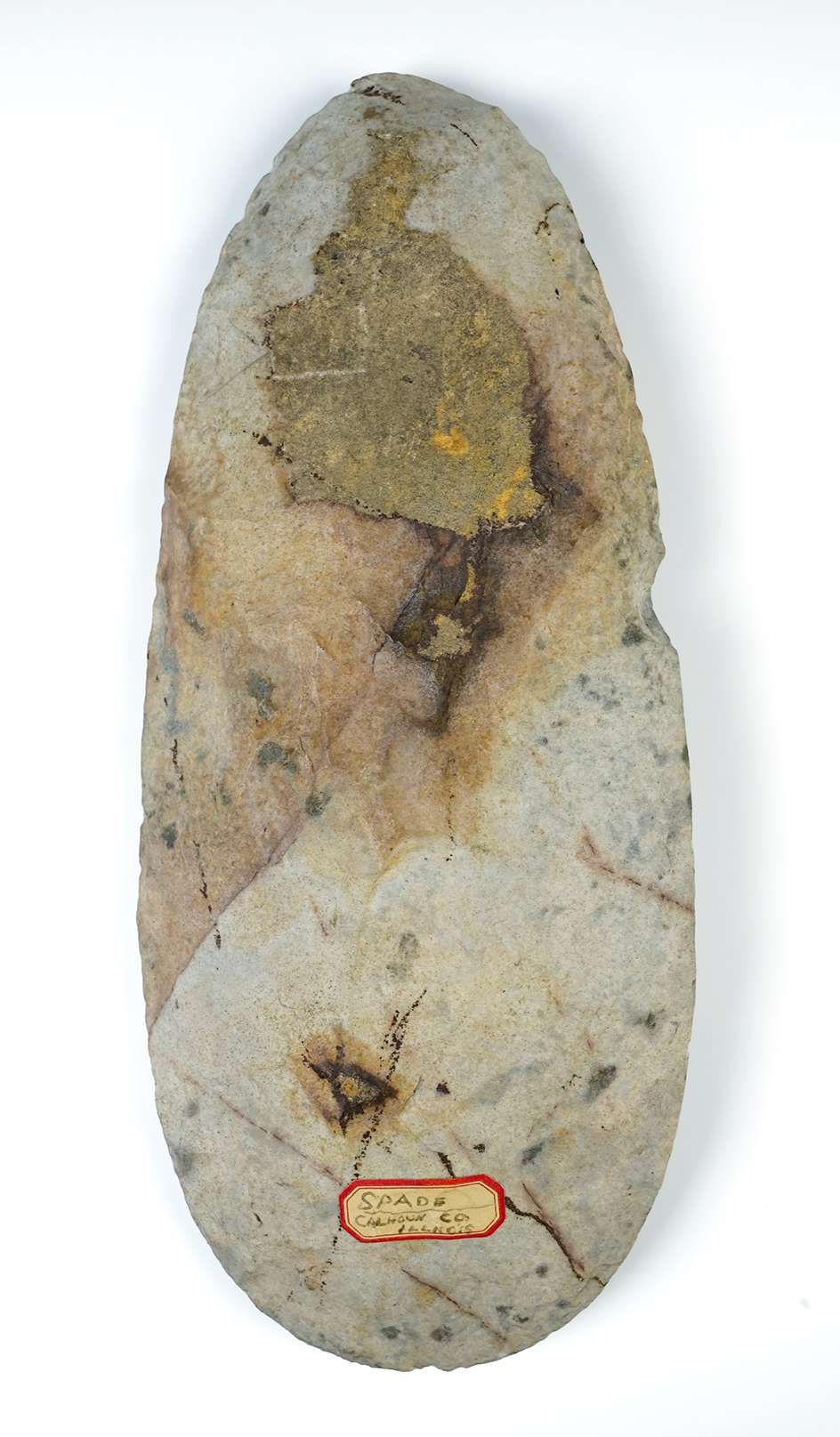 Large 10 1/2" Flint Spade in very nice condition. Found in Calhoun Co., Illinois. Ex. Howard Bell. 