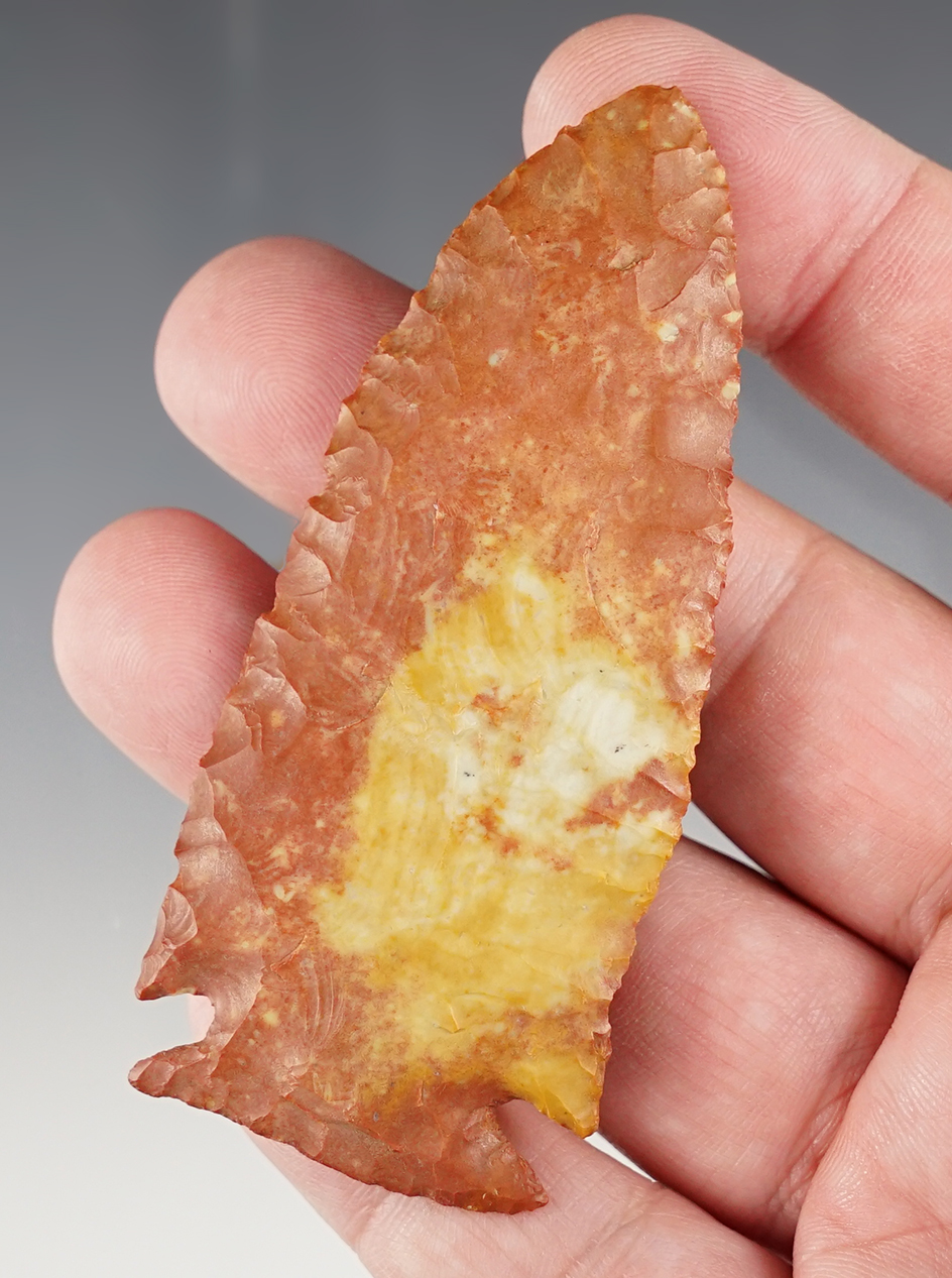 3 1/4" Archaic Cornernotch Point made of red, cream and yellow flint. Found in Tennessee.