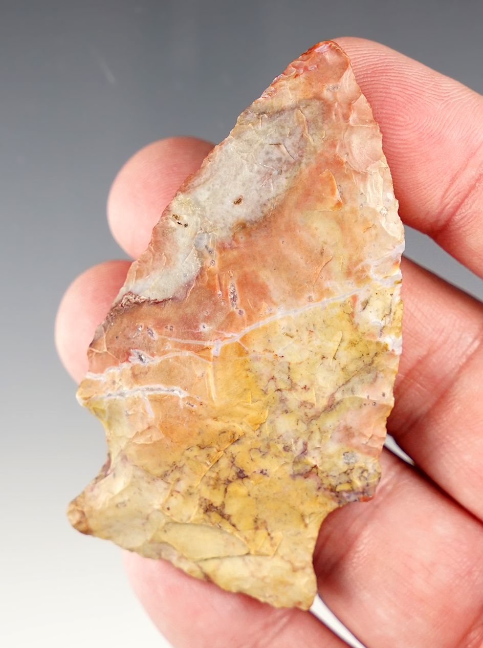 Extremely colorful 2 3/4" Hopewell Point made of  Flint Ridge. Found in Ft. Wayne, Indiana.
