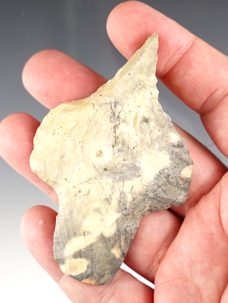 3 1/2" Nethers Adena that has been made into a drill. Found in Morrow Co., Ohio. Ex. Doug Hooks. 