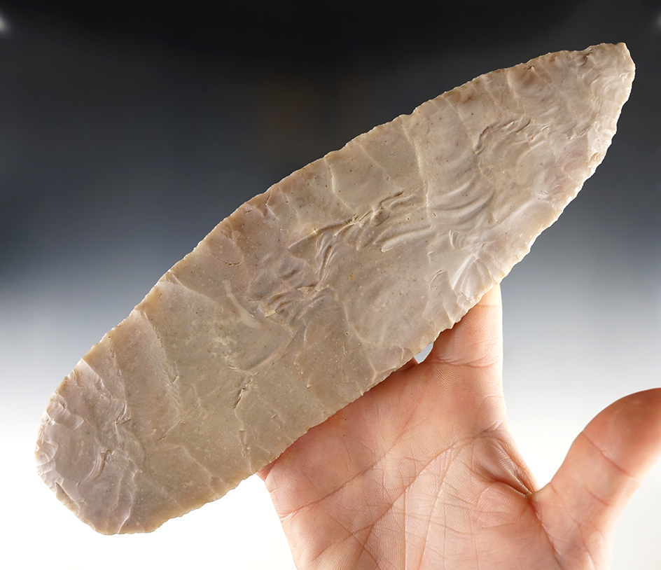 Ex. Museum!  9" Caddo Blade with truly incredible flaking. Found in Eastern Texas. Ex. Shewey.  