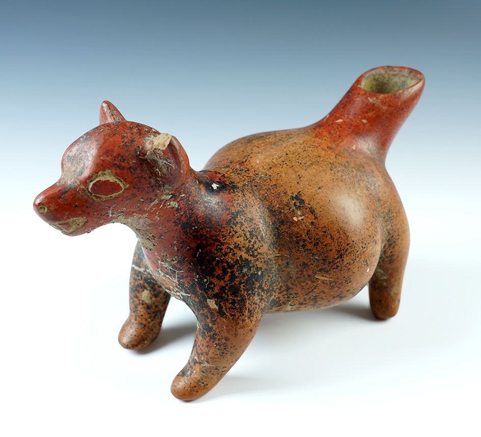 Solid condition 10 5/8" long x 6 1/4" tall Colima Culture Dog Effigy Bottle recovered in Mexico. 