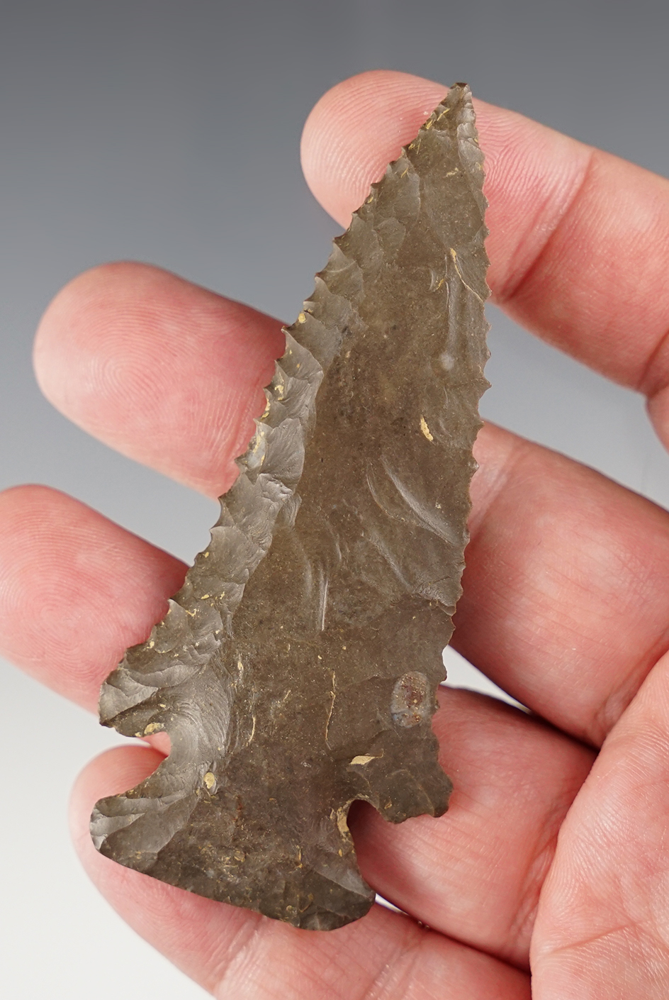 3 7/16" beautifully patinated Lost Lake found in Fayette County Kentucky. Ex. Jerry Dickey.