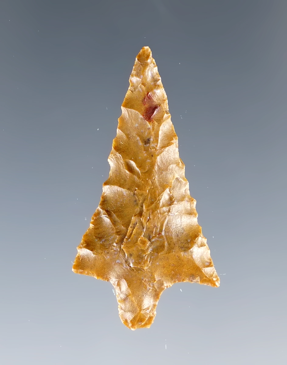 Excellently styled 1 1/4"  Wallula. Found close to the Columbia River, Washington.