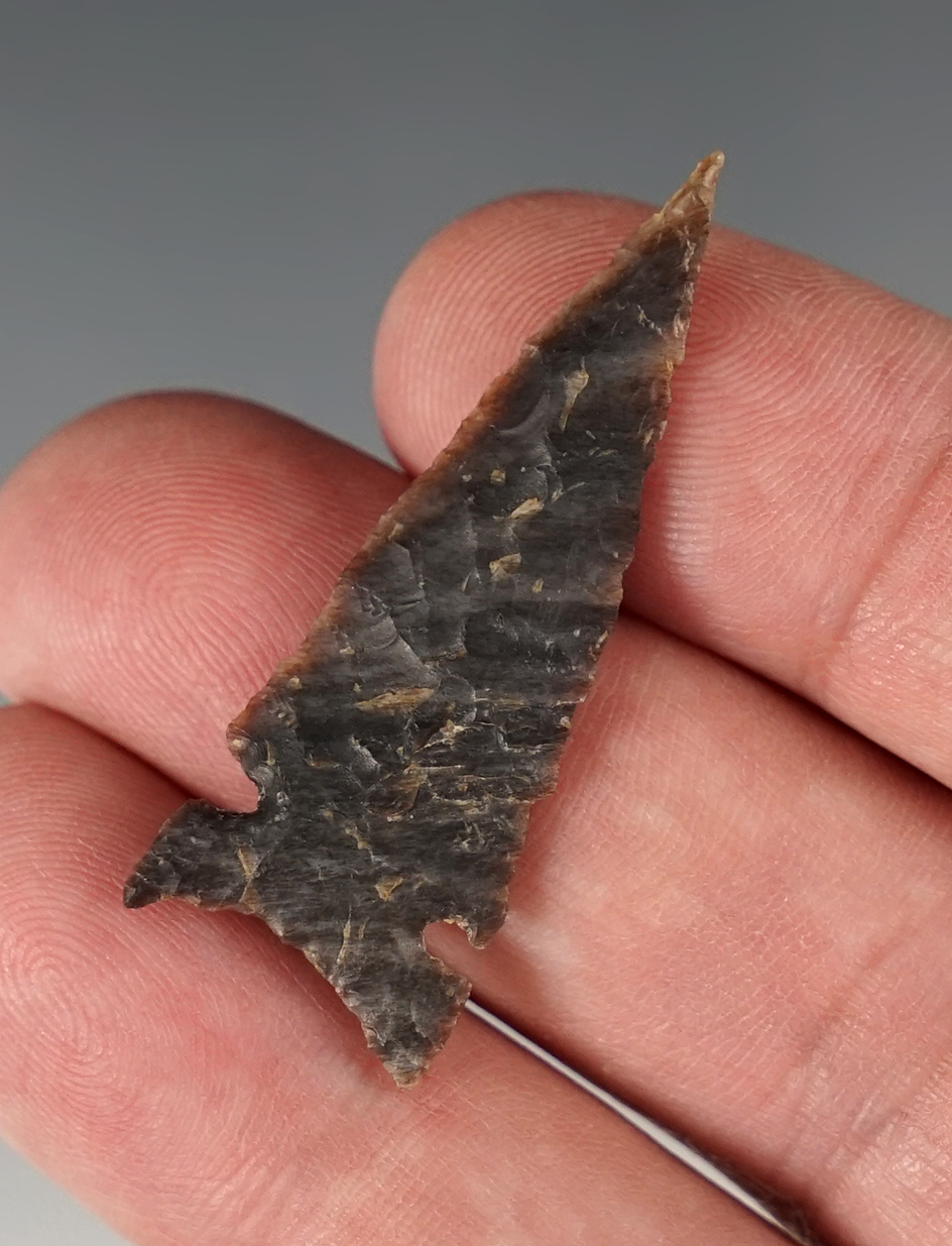 Exceptionally thin 1 3/4" Sidenotch Arrowpoint made from semi-translucent material. New Mexico.