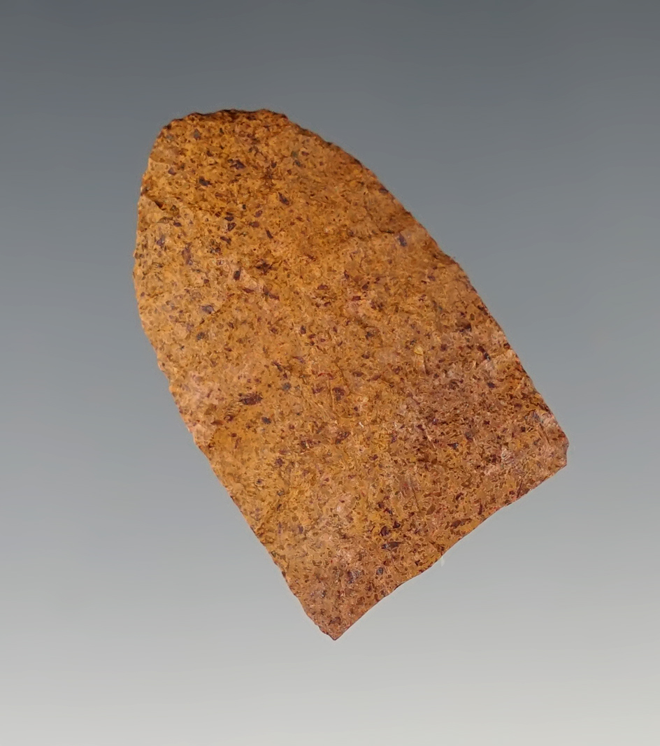 Very thin 1 9/16" Paleo Fluted Folsom with an anciently snapped base. Found in New Mexico.