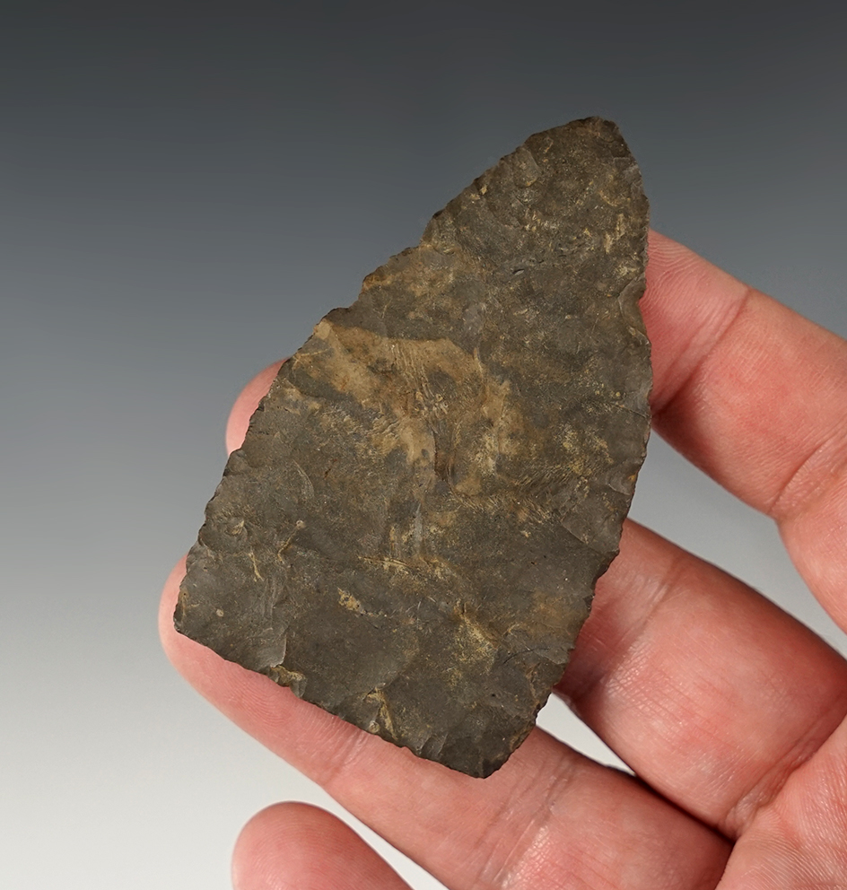 2 7/8" Onondaga Flint Blade found in New York.