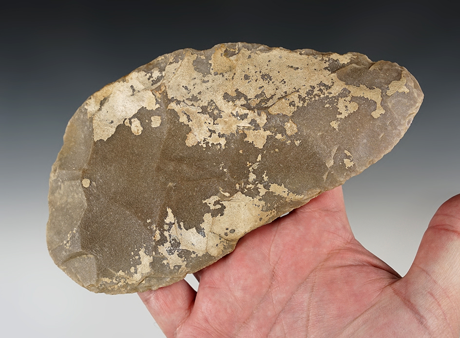 Large Paleo 6 13/16" Platter Biface Blade. Part of a cache that was found in Montana, by John Byrd.