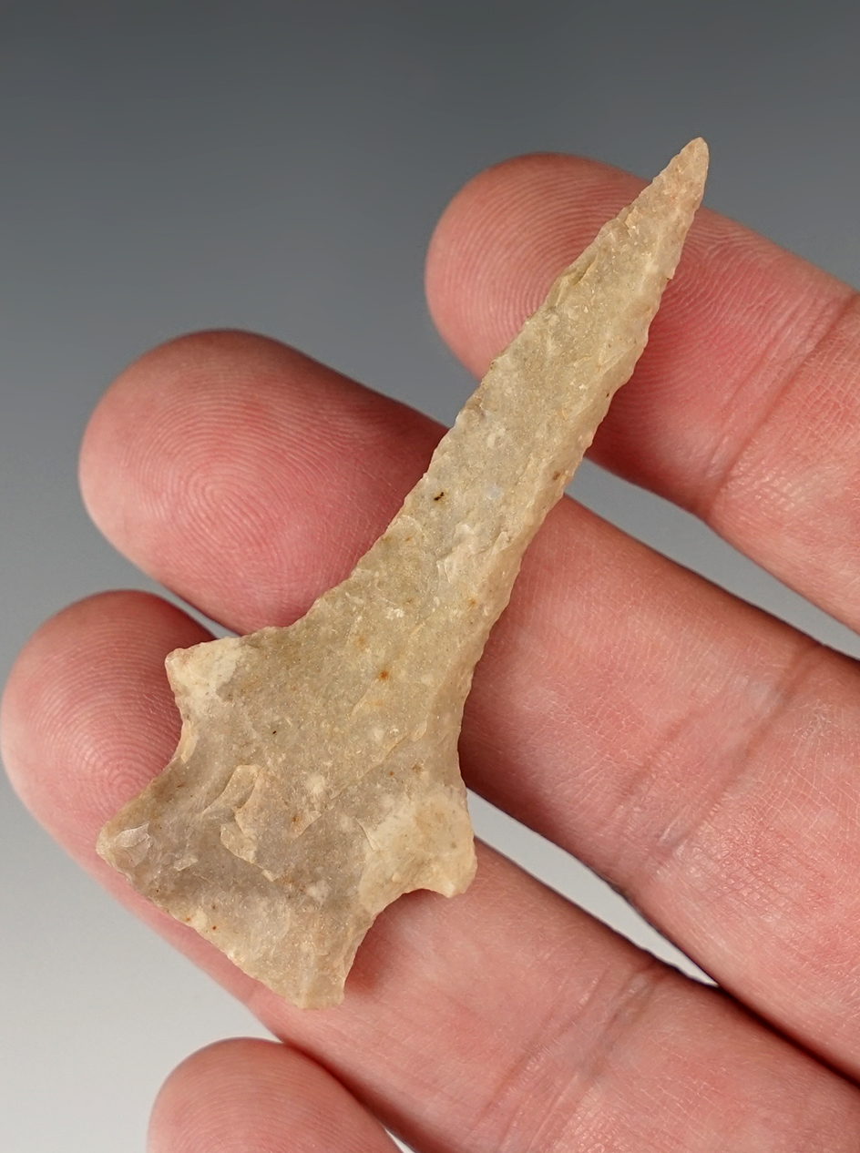 2 1/2" Well styled Drill found in New Mexico.