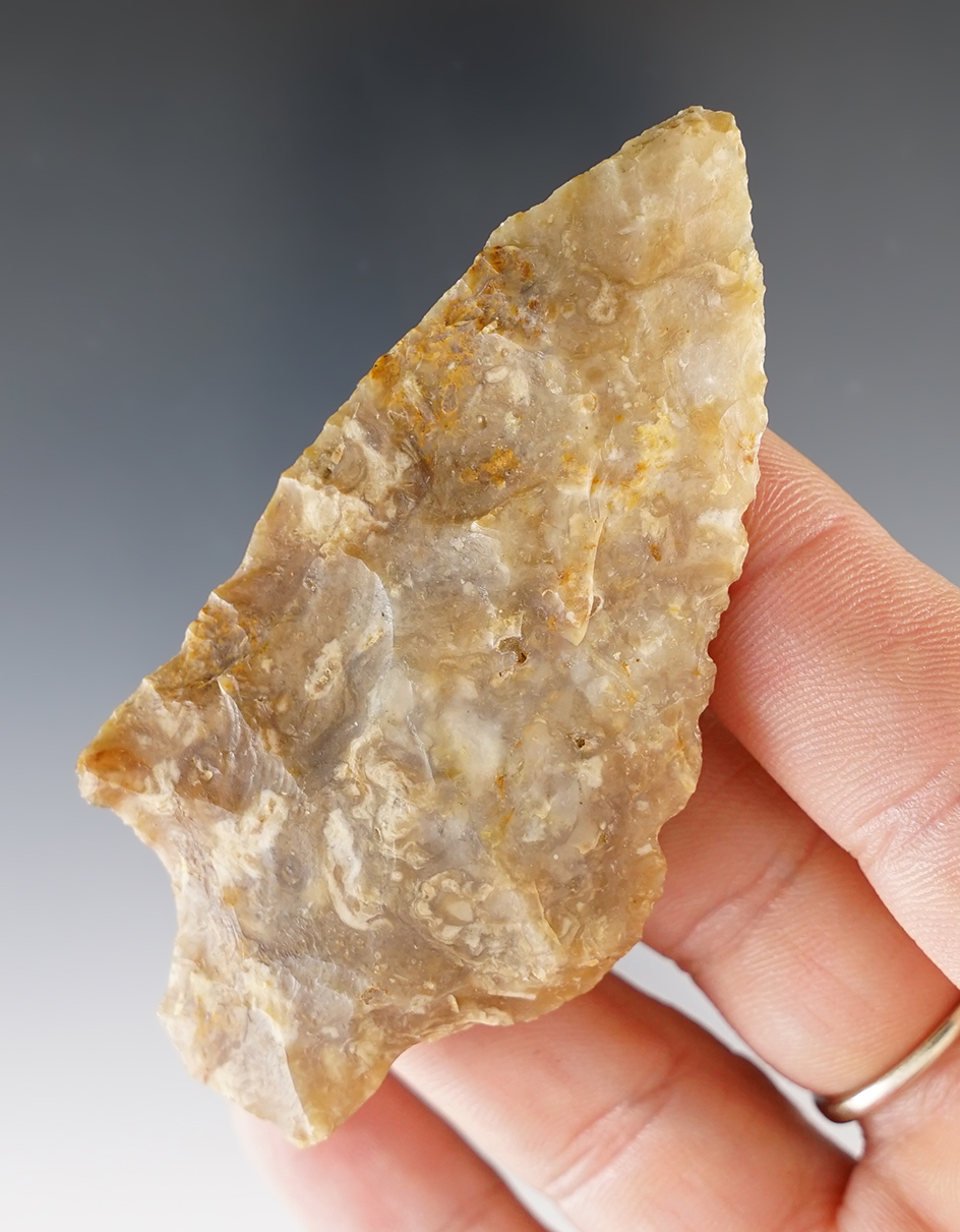 3" Stemmed Point found in Florida and made from a translucent Flint.