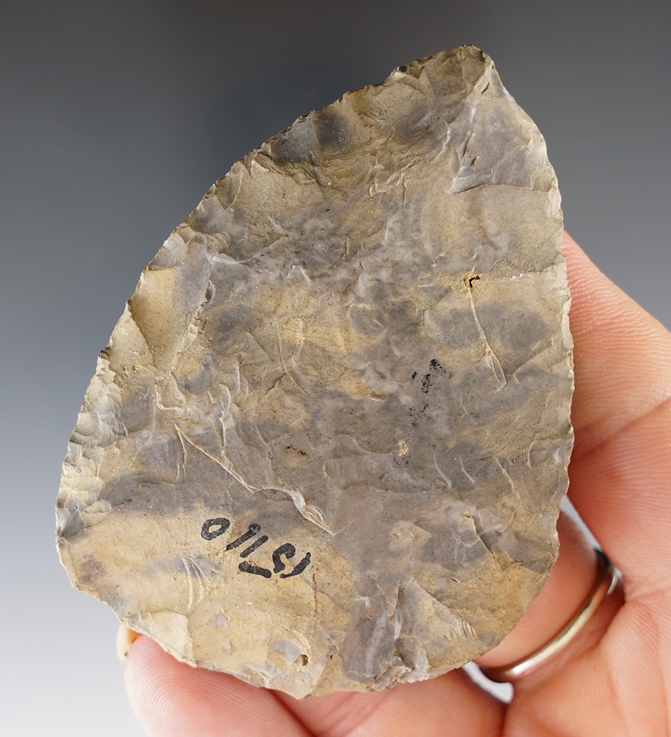 2 13/16" Blade that is thin and well made. Found in New York and made from Onondaga Flint.