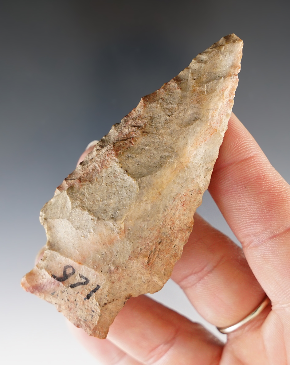 Colorful 3 3/16" Stemmed Point found in the Florida/Georgia Area.