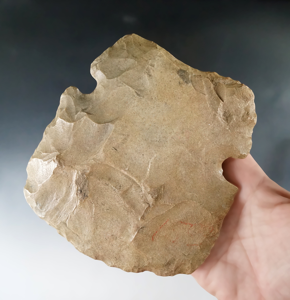 5 5/16" Notched Hoe found in Shelby Co., Tennessee. Comes with a Bennett COA.