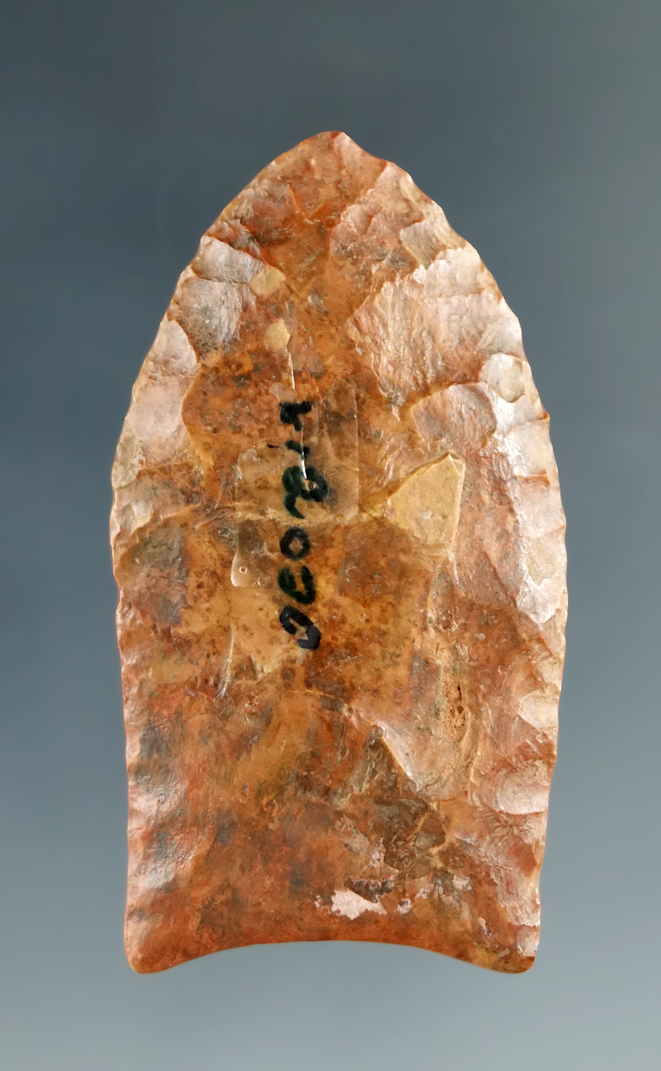 1 3/4" Paleo Clovis made from Jasper, found in Georgia. One barb restored. Rogers COA.