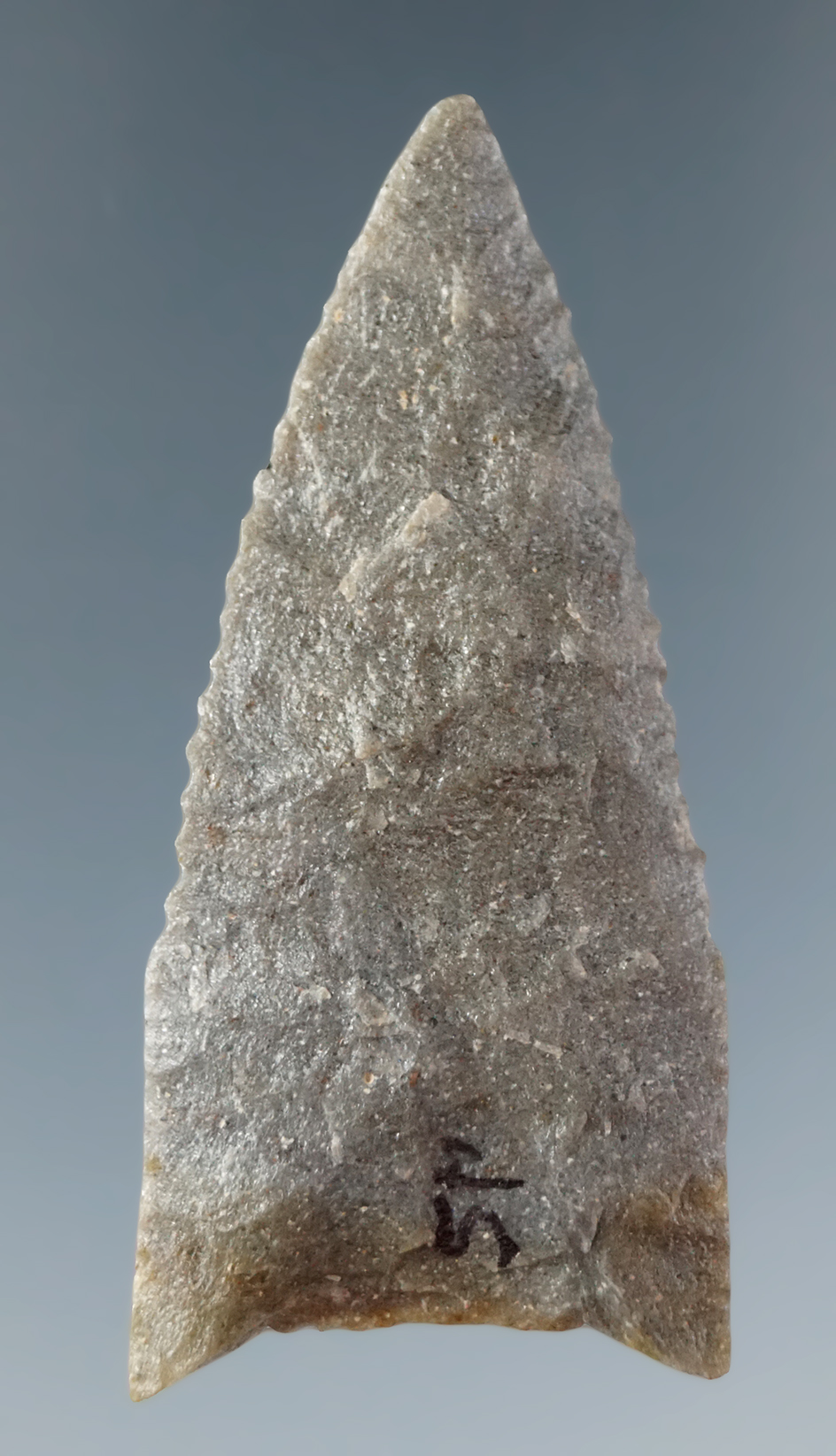 2 7/16" Meserve -excellent serrations - Marshall Co., Oklahoma - quartzite.  Perino COA.