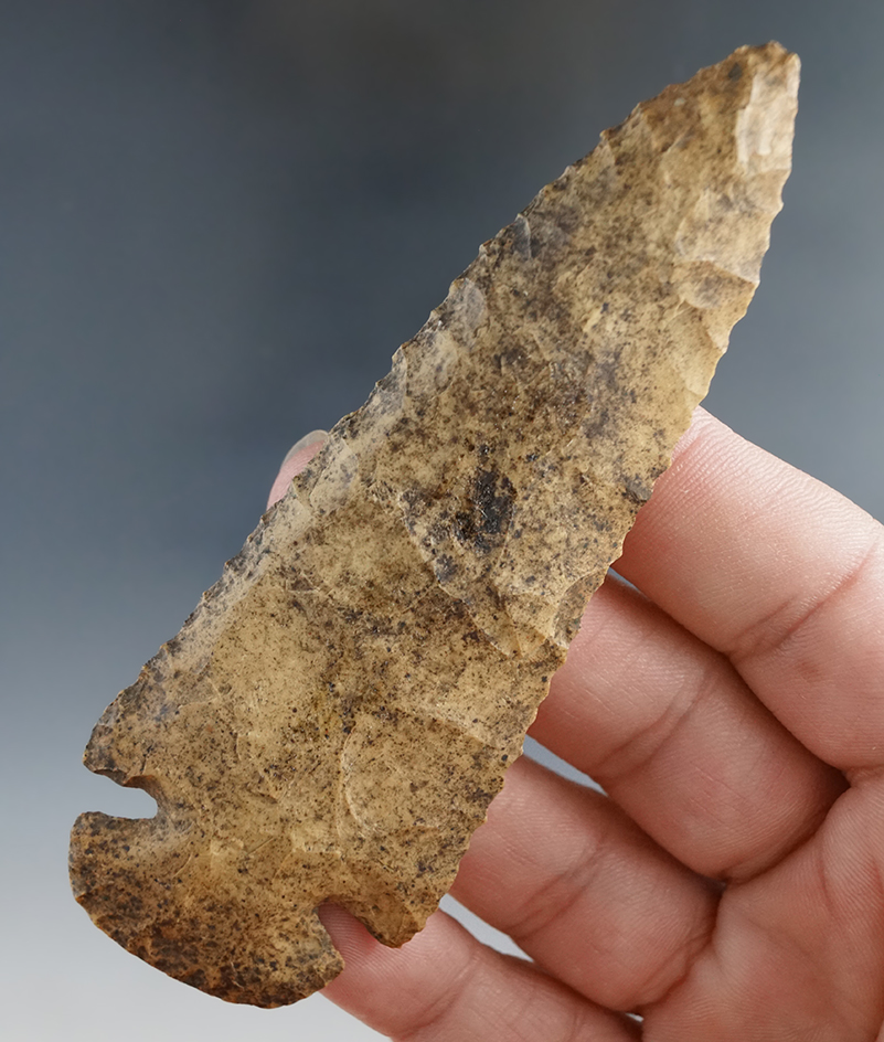 Excellent patina and mineral deposits on this 4" Dovetail found in Greene Co., Arkansas.