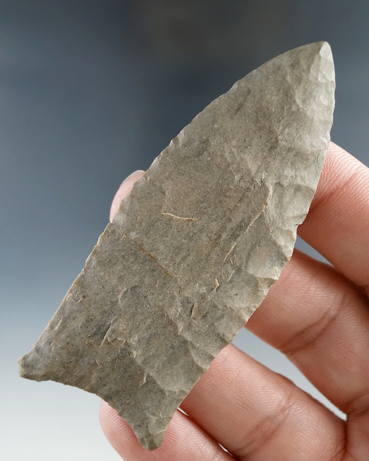 2 15/16" Paleo Beaver Lake - Humphreys Co., TN. with restoration to approximately 1" of tip.