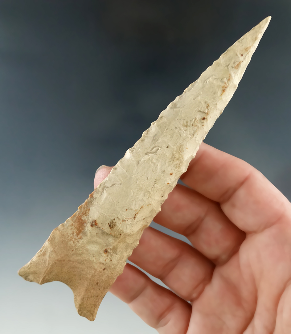 5" Dalton found in Lawrence Co., Arkansas with restoration to approximately 1" of tip area.