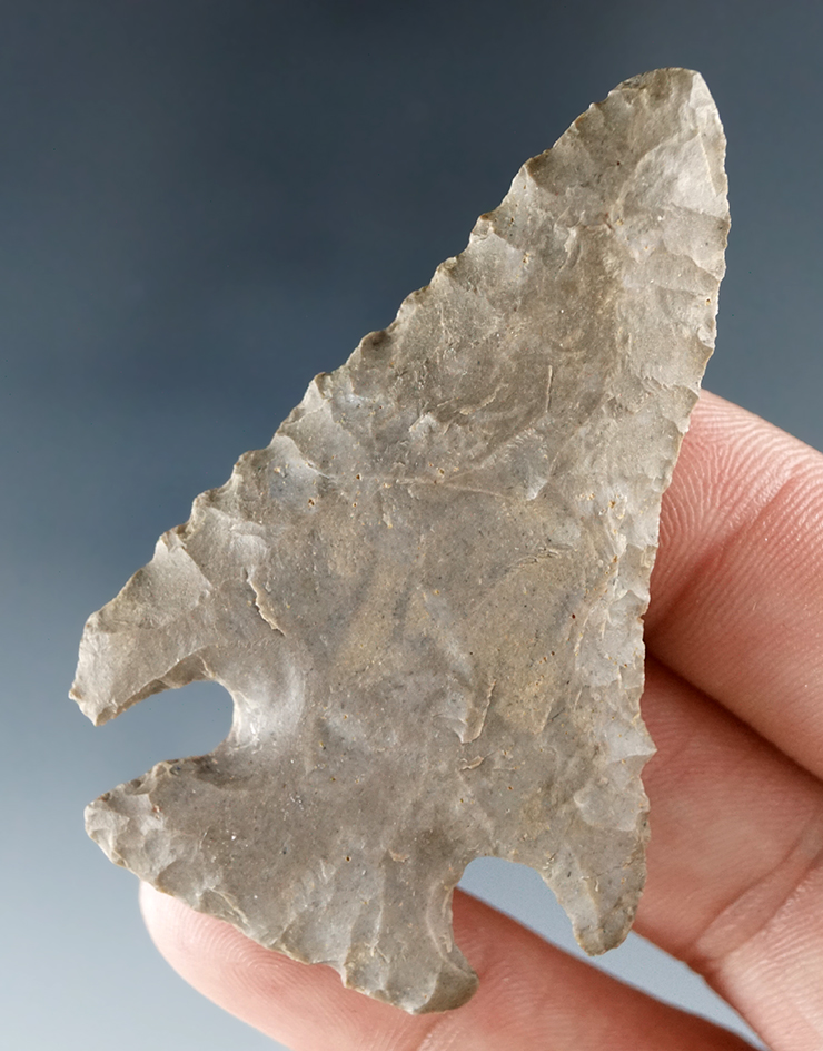 2 7/16" Cornernotch found by David Rich in the late 1960s in Wayne Co., Tennessee.