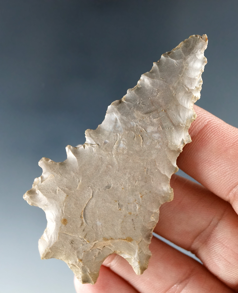 Excellent serrations on this 2 13/16" Kirk Stemmed found by David Rich in Wayne Co., TN.