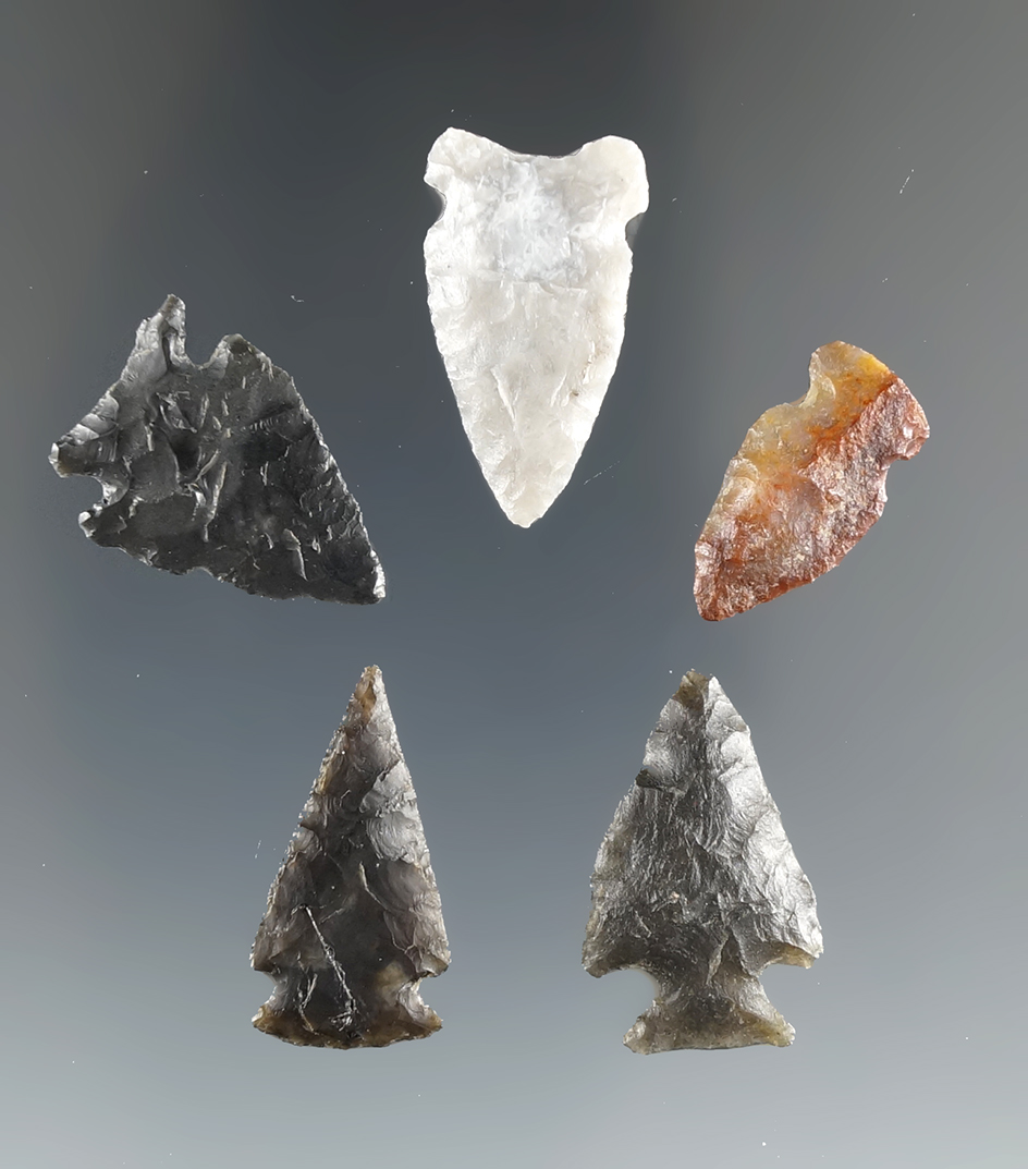 Set of five nice arrowheads found in Eastern South Dakota, largest is 15/16".