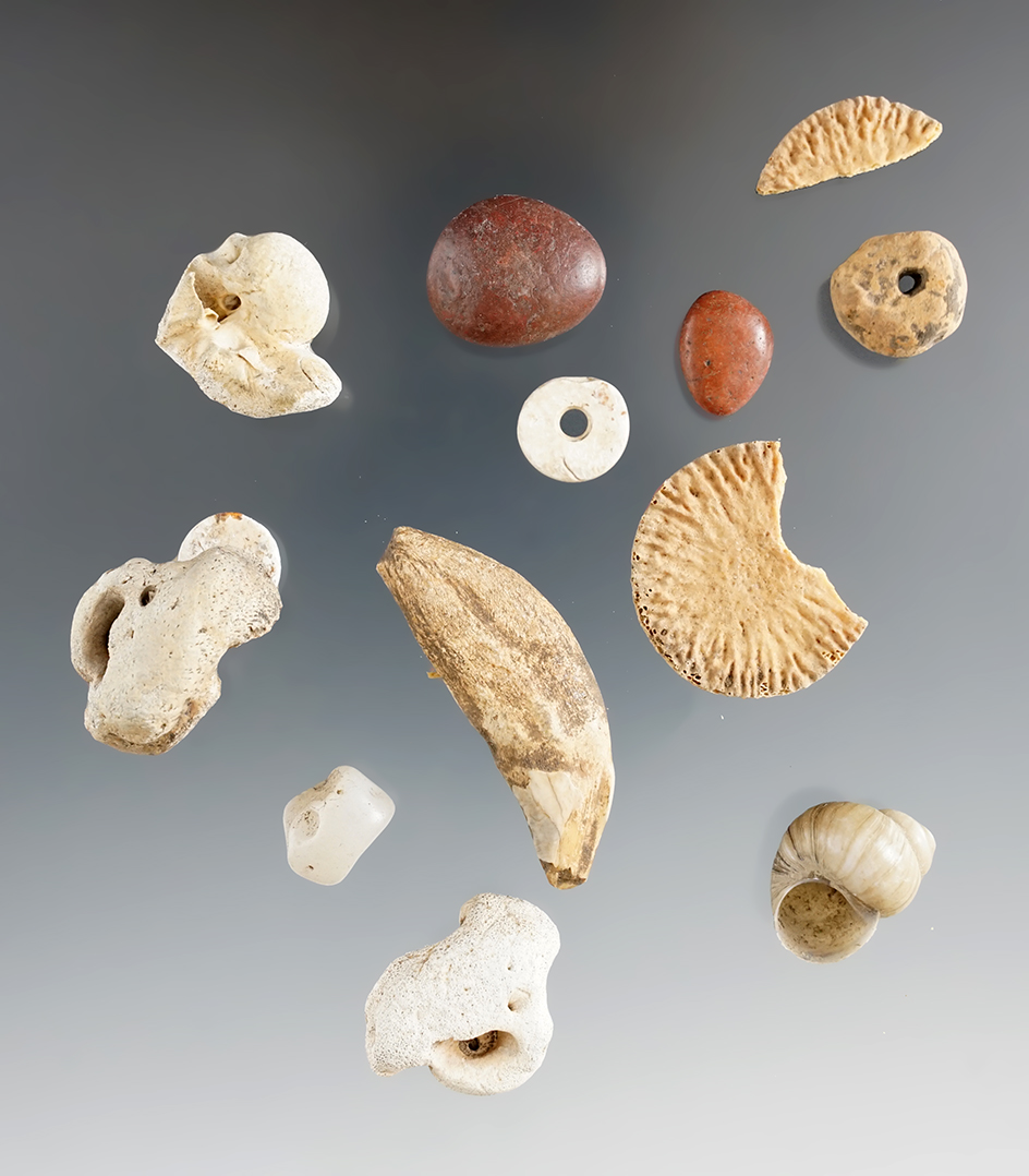 Assorted shell, stone and bone  artifacts found at Malaga Cove site, Los Angeles Co., California.