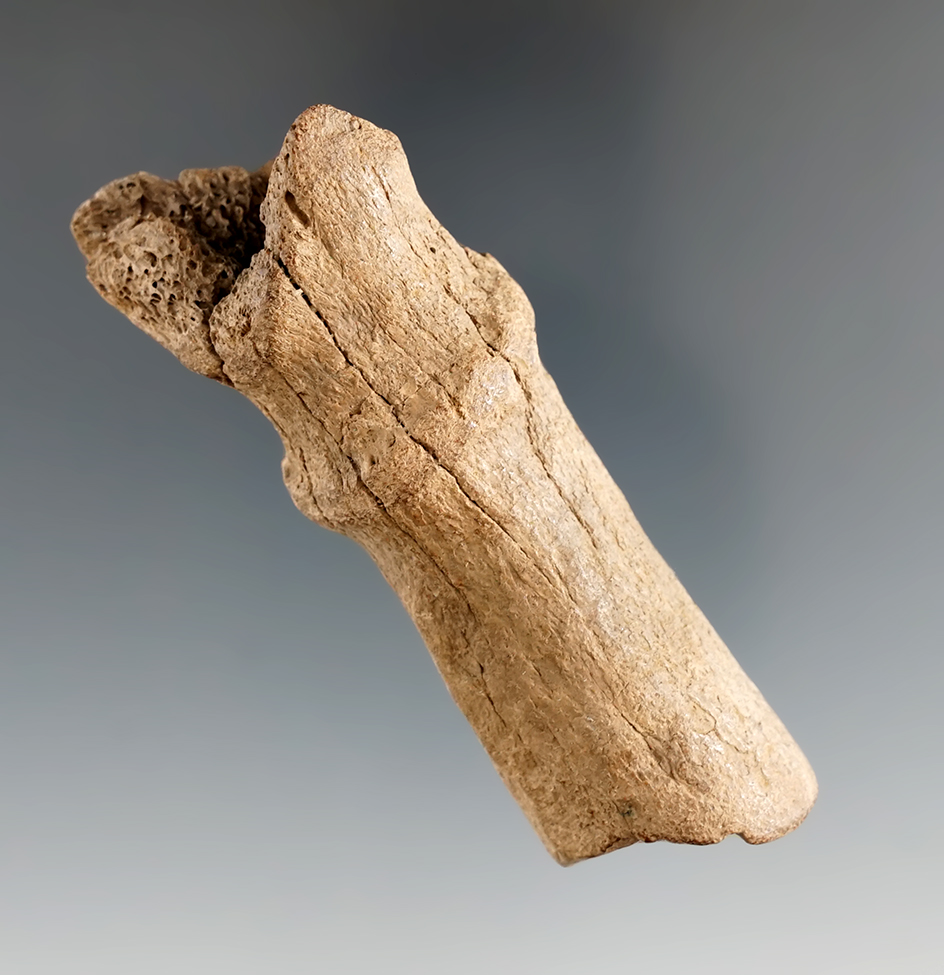 3 3/16" deer antler awl handle found near the Wakulla River, Walkulla Co., Florida.