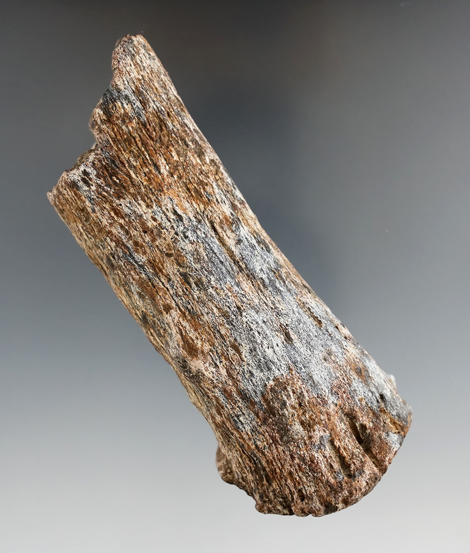 4 3/16" ancient atl-atl handle made from antler found in Tennessee.