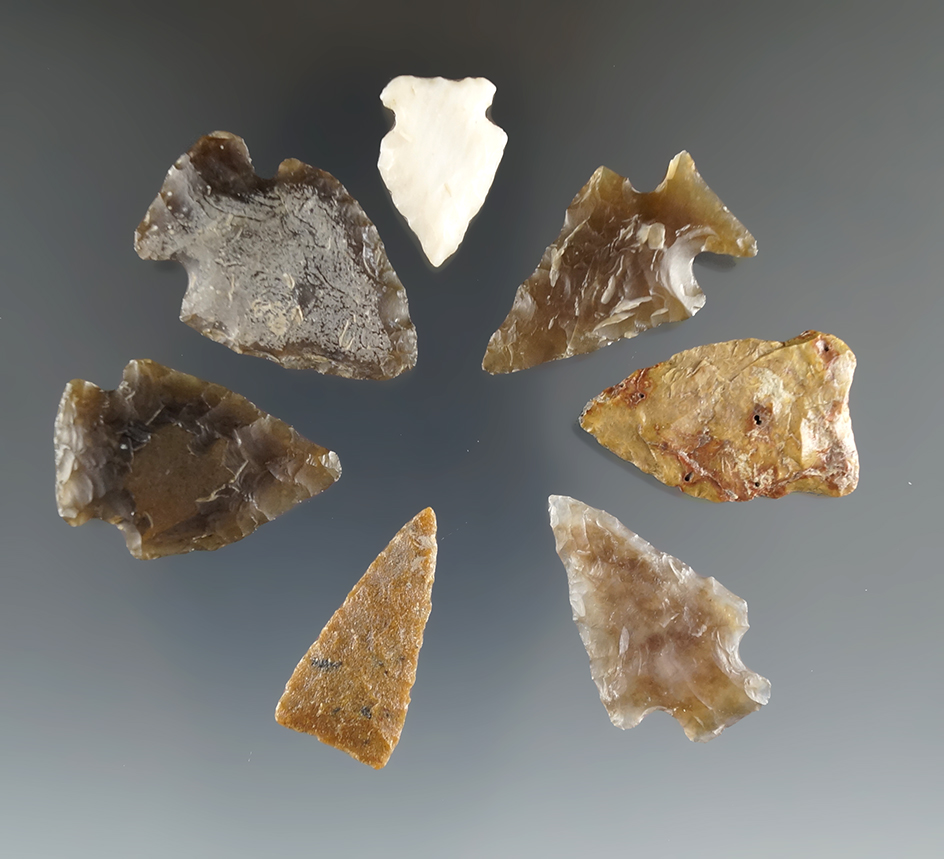 Set of seven assorted arrowheads found in Eastern South Dakota by Harlan Olson.